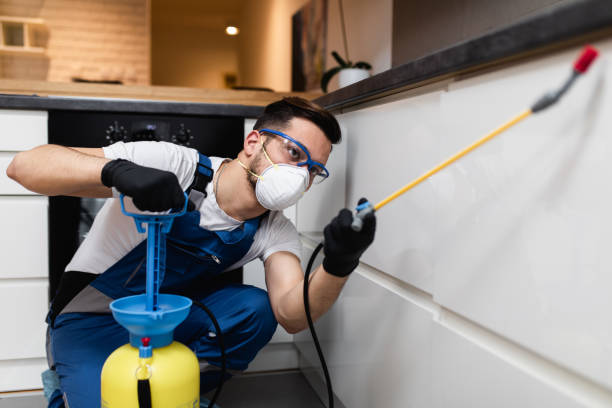 Best Emergency Pest Control  in Mount Vernon, GA