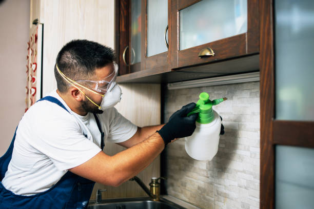 Best Local Pest Control Services  in Mount Vernon, GA