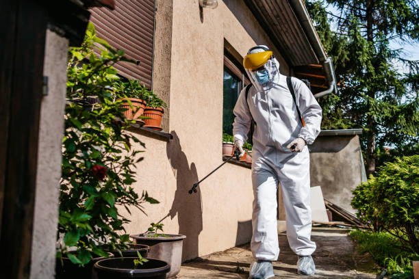 Best Pest Inspection Near Me  in Mount Vernon, GA