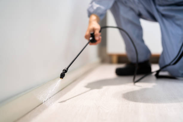 Best Residential Pest Control  in Mount Vernon, GA