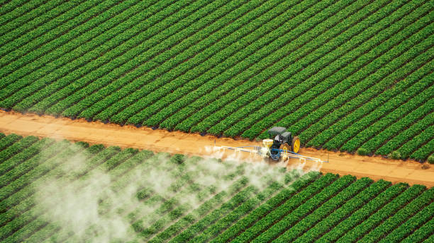 Best Commercial Pest Control Services  in Mount Vernon, GA