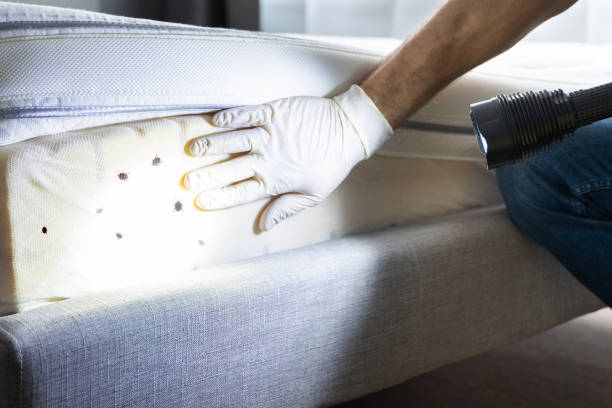  Mount Vernon, GA Pest Control Pros