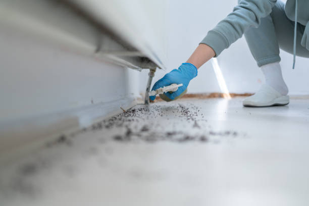 Best Rat Extermination Near Me  in Mount Vernon, GA